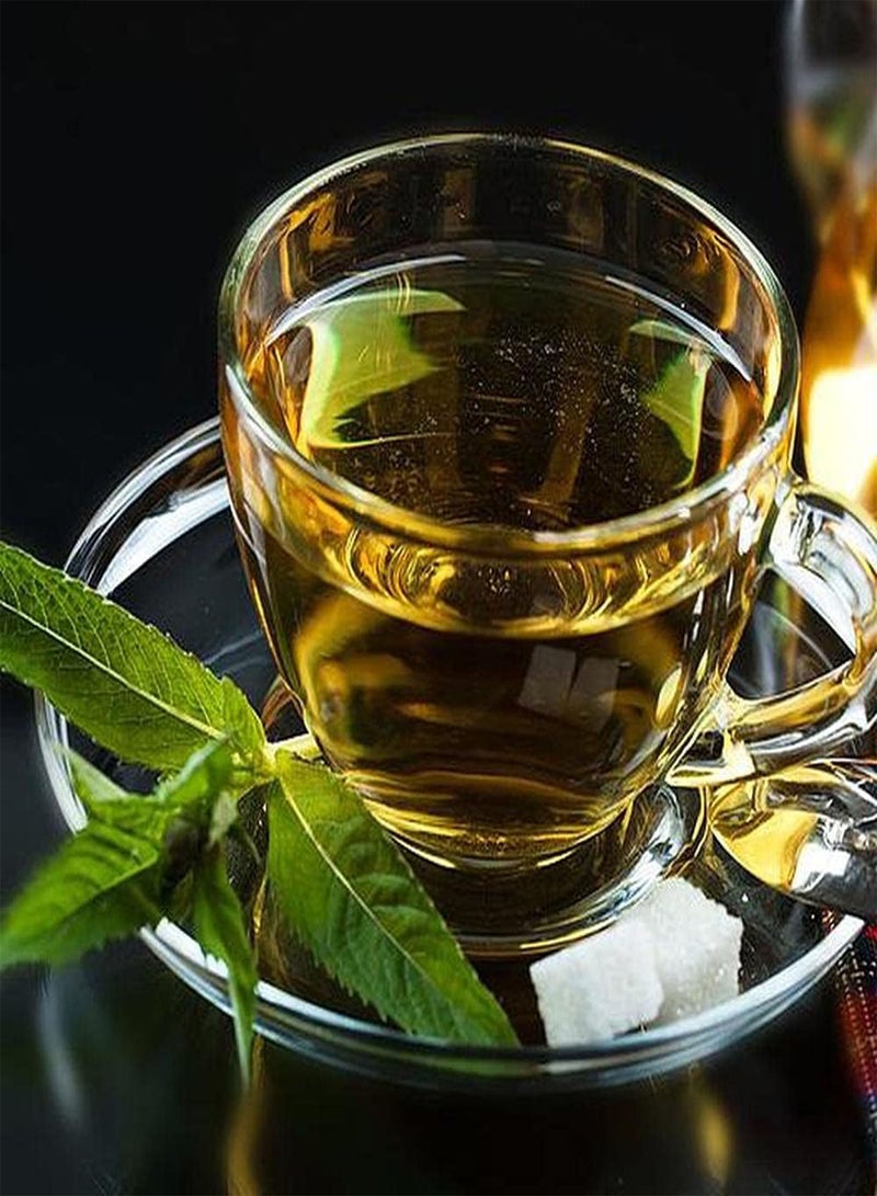 جي جوت 10 قطع من بذور شجرة الشاي هي مادة مثالية للحديقة لتصميم المناظر الطبيعية وتنمية الاهتمام بالزراعة وخلق بيئة جميلة - Image 3