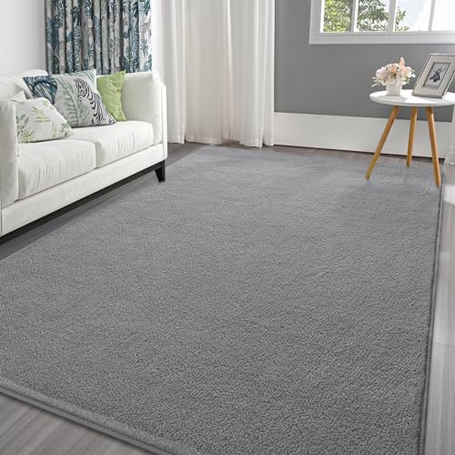 Pettop 4x6 ft Grey Area Rugs for Bedroom Living Room Washable Memory Foam Indoor Carpet Modern Aesthetic Minimalist Non Slip Soft Comfy Carpet for Boys Girls Dorm Home Decor - Image 1