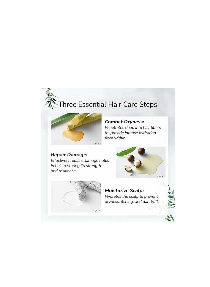 botanist - BOTANIST Botanical Treatment Conditioner Scalp Cleanse , Refreshing Formula - Grapefruit & Sage, 460g - Image 1