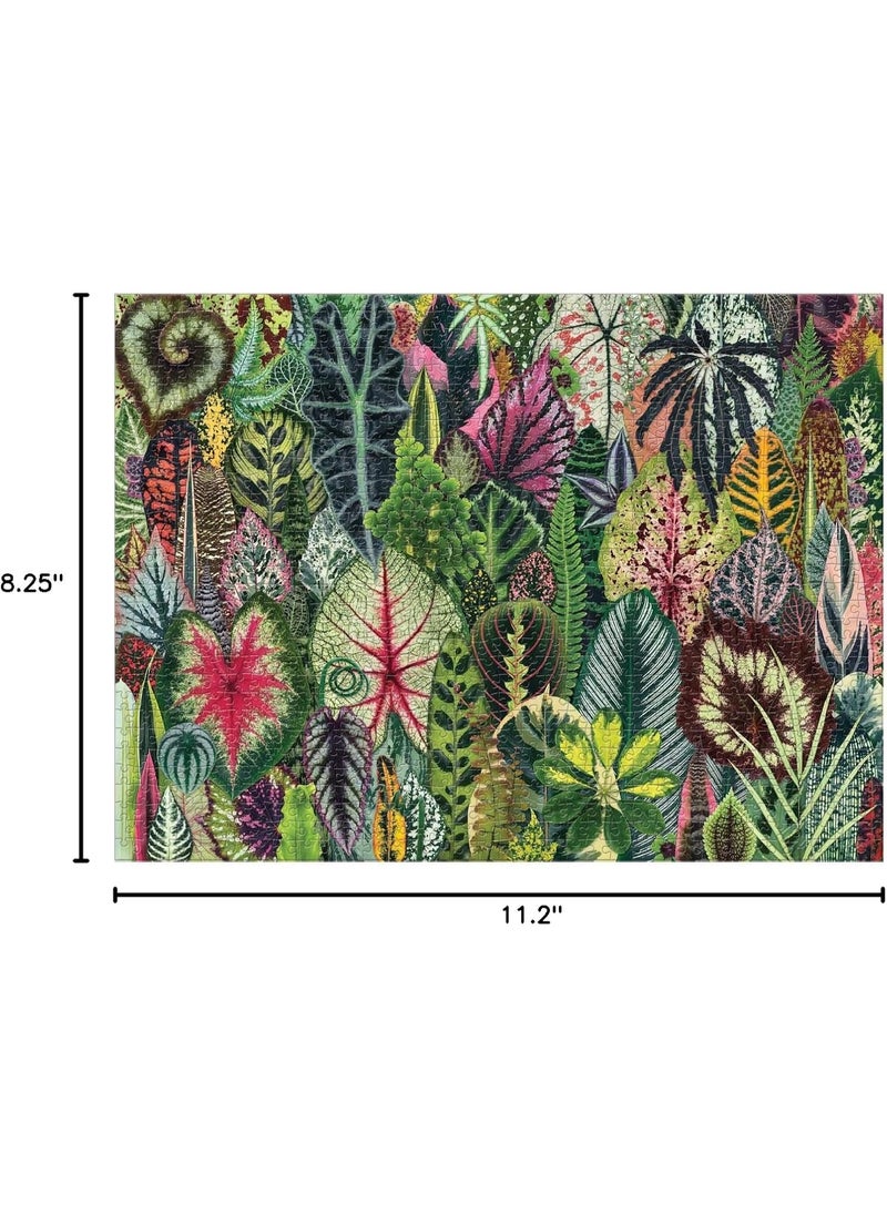 Galison Galison Houseplant Jungle 1000 Piece Jigsaw Puzzle for Adults – Plant Jigsaw Puzzle with Mix of Succulents & Other Household Plants – Fun Indoor Activity, Multicolor  - Image 3