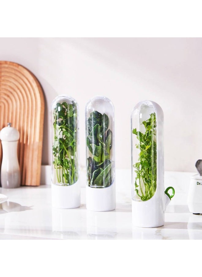 Generic Get the herb and vegetable storage capsule for the fridge, designed to keep cilantro, mint, parsley, and dill fresh for longer. Ideal for storing and protecting vegetables from wilting, with a practical design that ensures optimal ventilation and balanced moisture. The perfect solution to keep your greens fresh in the fridge!  - Image 1