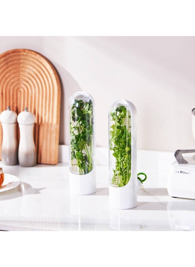 Generic Get the herb and vegetable storage capsule for the fridge, designed to keep cilantro, mint, parsley, and dill fresh for longer. Ideal for storing and protecting vegetables from wilting, with a practical design that ensures optimal ventilation and balanced moisture. The perfect solution to keep your greens fresh in the fridge!  - Image 2