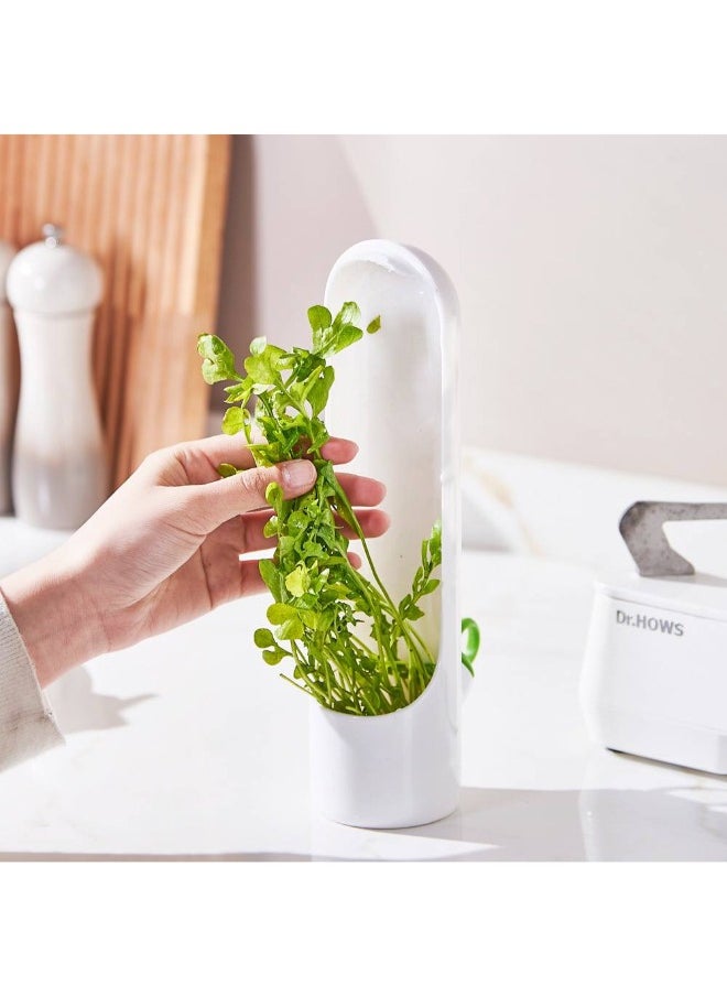 Generic Get the herb and vegetable storage capsule for the fridge, designed to keep cilantro, mint, parsley, and dill fresh for longer. Ideal for storing and protecting vegetables from wilting, with a practical design that ensures optimal ventilation and balanced moisture. The perfect solution to keep your greens fresh in the fridge!  - Image 3
