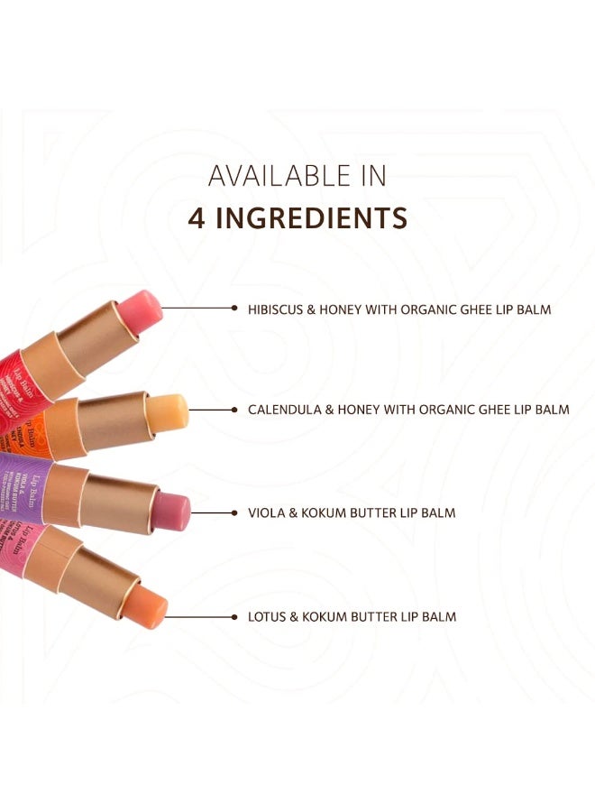 SoulTree Ayurvedic Lip Balm - Calendula & Honey with Organic Ghee | Heals and Hydrates Lips - 3.5gm - Image 4