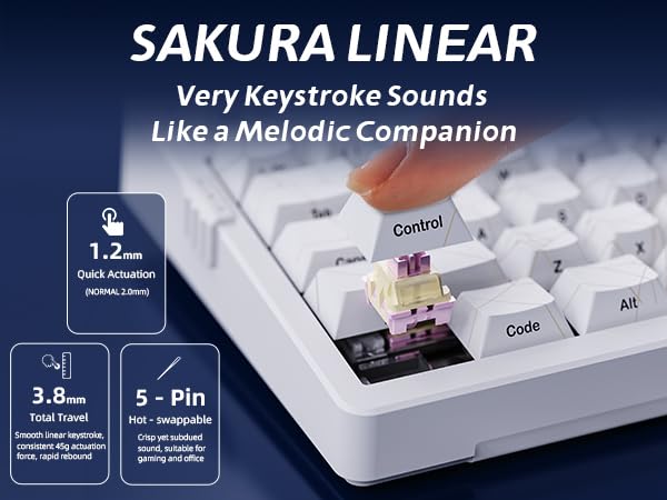 ZORNHER ZH980 Mechanical Keyboard Wireless,95% White Creamy Keyboard with Number Pad,Gaming Keyboard with Number Pad,Shine Through Spider Web PC Keycaps,Creamy Sounding Linear Switches,Full Size - Image 5