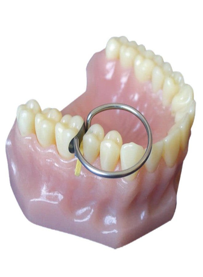 InstruDent مجموعة قوالب InstruDent المقطعية المُشكّلة | فولاذ مقاوم للصدأ | مُشكّلة تشريحيًا مسبقًا لترميمات أسنان دقيقة | قوة شد فائقة | متينة وسهلة الاستخدام لأطباء الأسنان المحترفين - Image 4