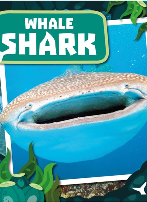 Whale Shark : Teeth to Tail