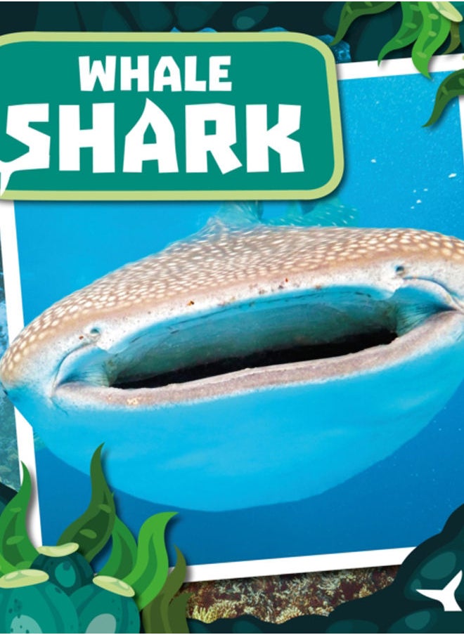 null - Whale Shark : Teeth to Tail - Image 1