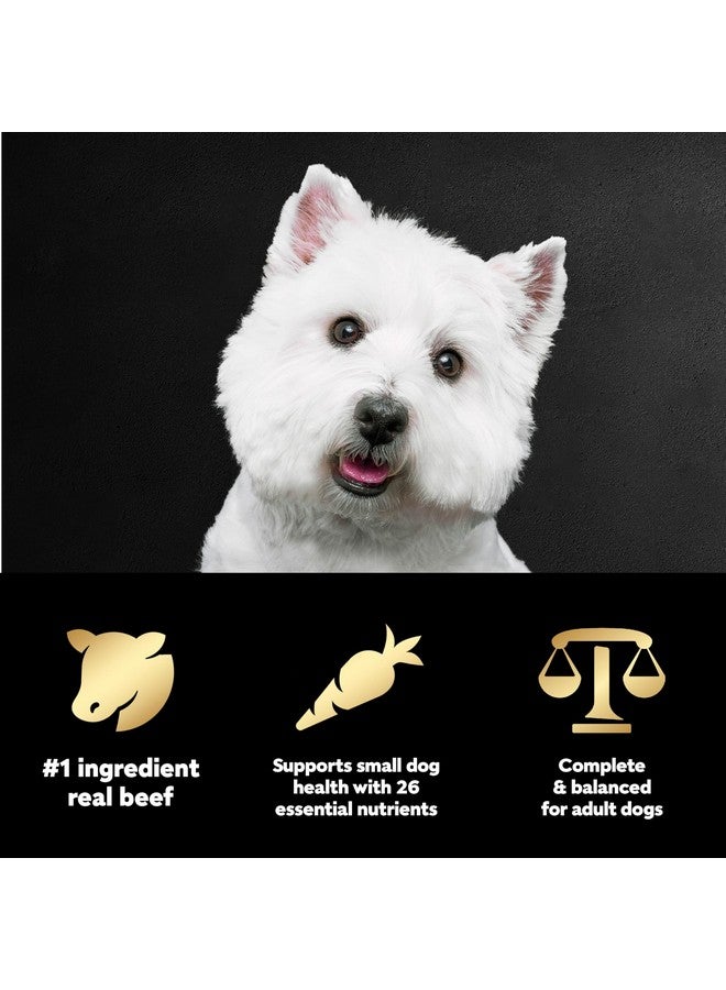 CESAR Small Breed Dry Dog Food Porterhouse Flavor and Spring Vegetables Garnish, 5 lb. Bag - Image 4