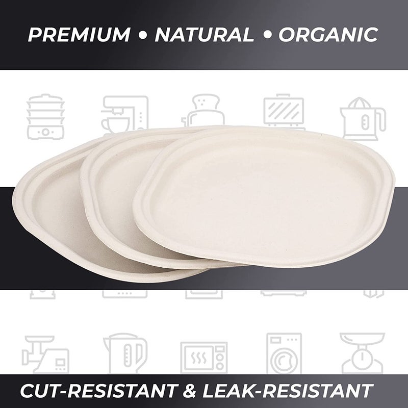 SANWALSA Disposable Square Bagasse Paper Plates 10 Inches Diameter Set of 50 pcs Beige - Image 2