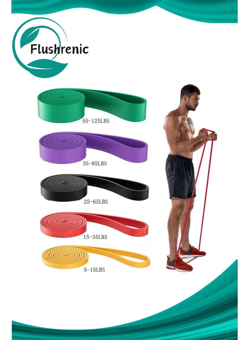 فلوشرينيك مجموعة أحزمة المقاومة، 5 قطع من حلقات المقاومة ذات الأوزان المختلفة لتمارين القوة، أحزمة التمدد، الأربطة المرنة، حلقات المقاومة لتمارين اللياقة البدنية واليوغا في الصالة الرياضية، مناسبة للذراعين والساقين والوركين - Image 1