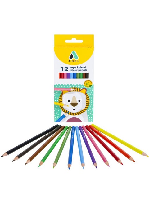 Dry Color 12 Pack Full Size / 2112315001