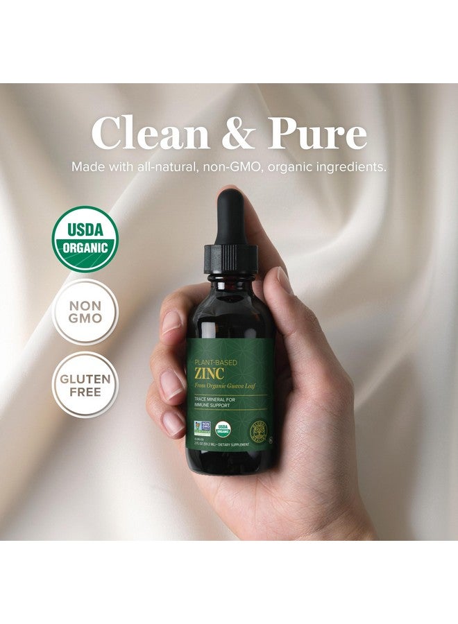 جلوبال هيلنغ سنتر مكملات الزنك العضوية من وزارة الزراعة الأمريكية من Global Healing - قطرات فيتامينات نقية لتعزيز جهاز المناعة، وتوازن الهرمونات، والشيخوخة الصحية - فيتامينات زنك عضوية طبيعية، نباتية، غير معدلة وراثيًا (2 أونصة سائلة) - Image 3