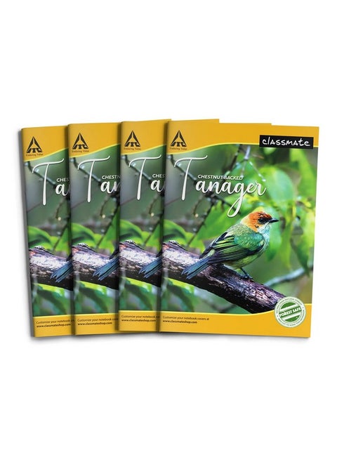 Classmate Notebook - Single Line, 72 Pages, 240 mm x 180 mm - Pack Of 4