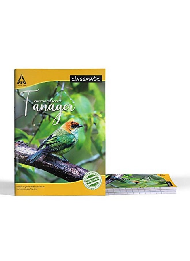 classmate Classmate Notebook - Single Line, 72 Pages, 240 mm x 180 mm - Pack Of 4  - Image 2