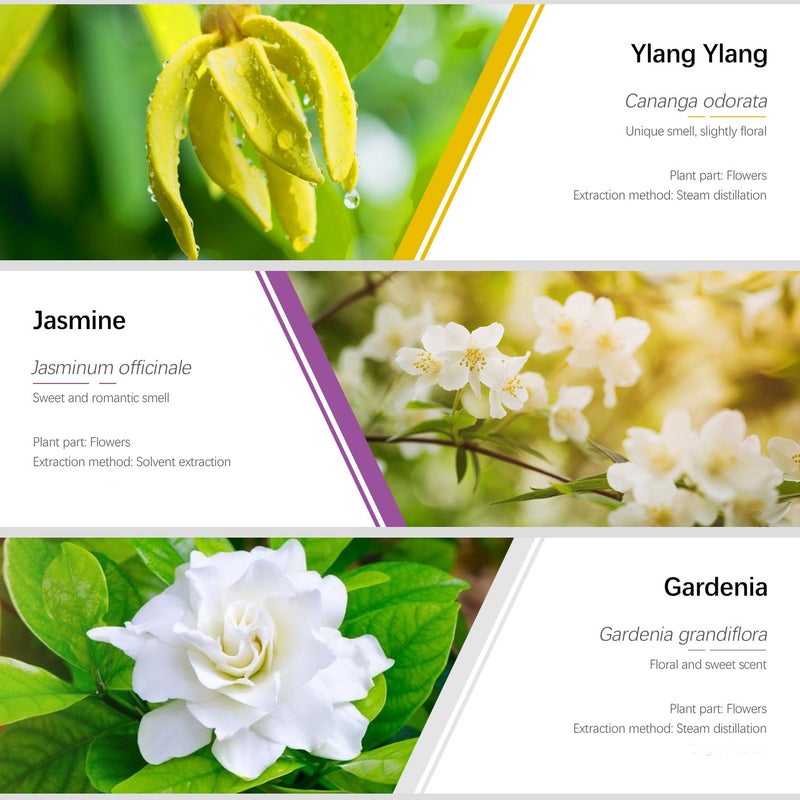 ESSLUX Essential Oils Set, ESSLUX Floral Essential Oils for Diffuser, Massage & Candle Making, Natural & Long-Lasting Scents - Rose, Jasmine, Gardenia, Ylang-Ylang, White Tea, Cherry Blossom, 6 * 10ml - Image 2