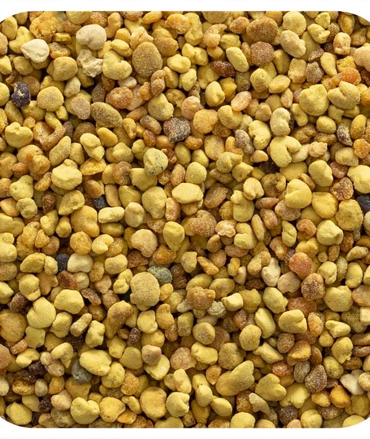 Bee Pollen Granules 16 oz (453 g)