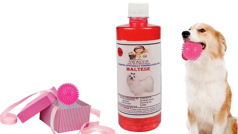 swacch Shampoo | Puppy Safe Shampoo | PH Balanced | Ditch to Itch for Maltese Dog Shampoo 500ml (Strawberry) + Spike Ball Chew Toy Combo Pack - Image 1