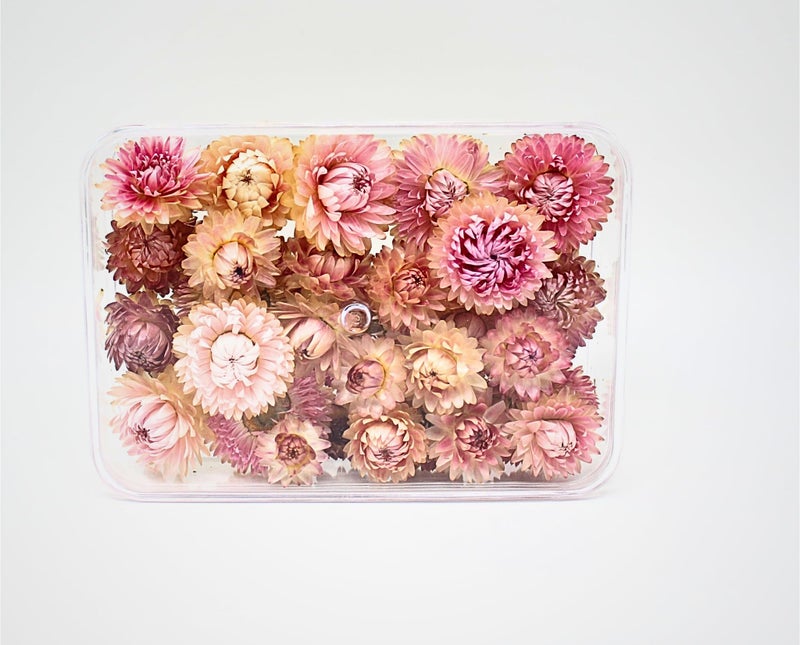FANCY Natural Dried Strawflowers 6 Vibrant Colors, Ready-to-Use Resin Potpourri Floral, Long-Lasting Home Decor Gift in Clear Transparent Display Box (pink, S) - Image 2