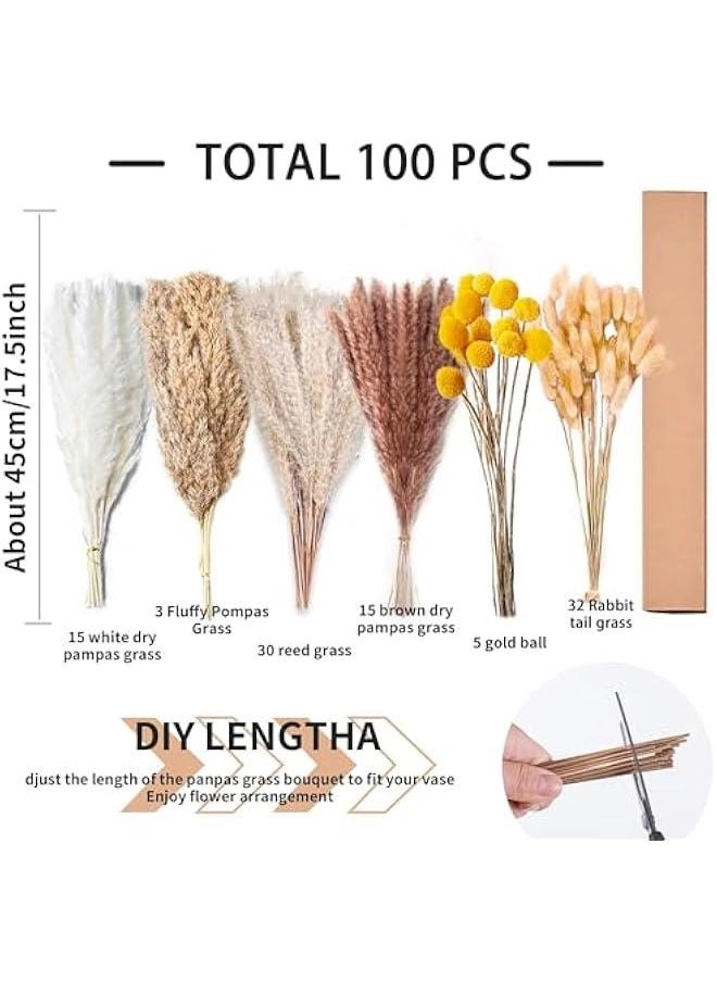 MIXDE Natural Dried Pampas Grass Decor - 100 pack Fluffy Pampas Grass Bouquet - Boho Home Decor Dried Flowers for Wedding Floral Room Home Party Table Decorations  - Image 3