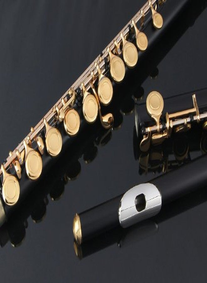 Glory Closed Hole C Flute With Case, Tuning Rod and Cloth and Gloves black/Laquer - Image 3