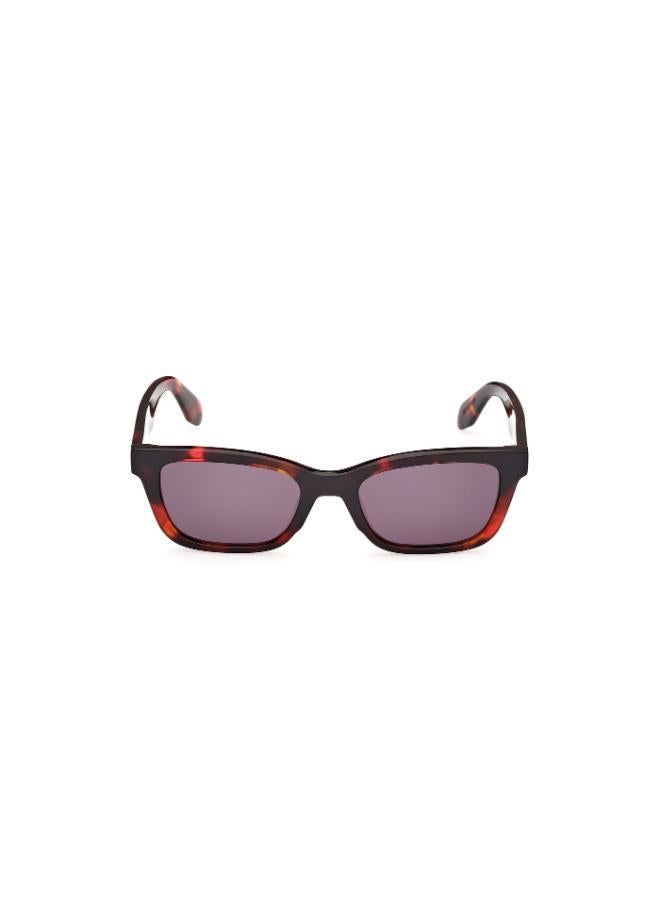 Adidas Wayfarers Sunglasses - Image 5
