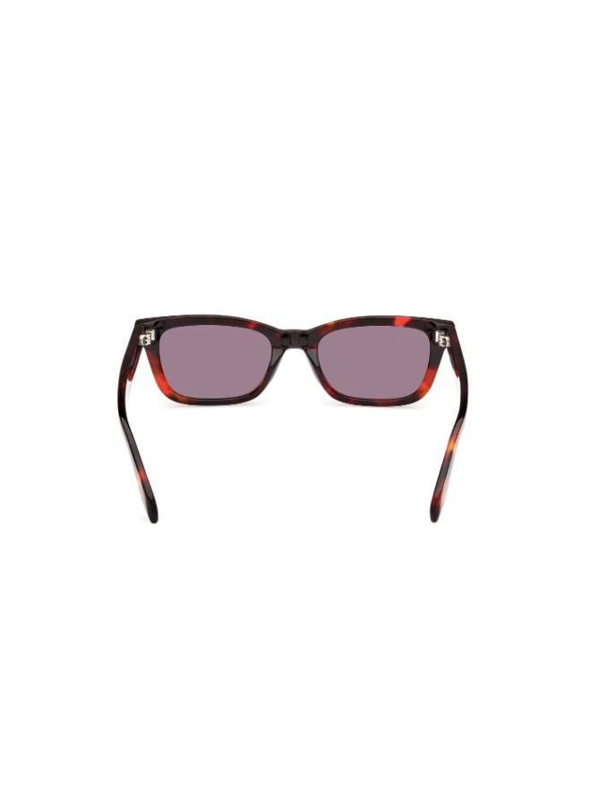 Adidas Wayfarers Sunglasses - Image 3