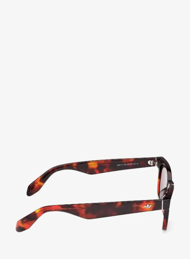 Adidas  Wayfarers Sunglasses  | Best Price UAE