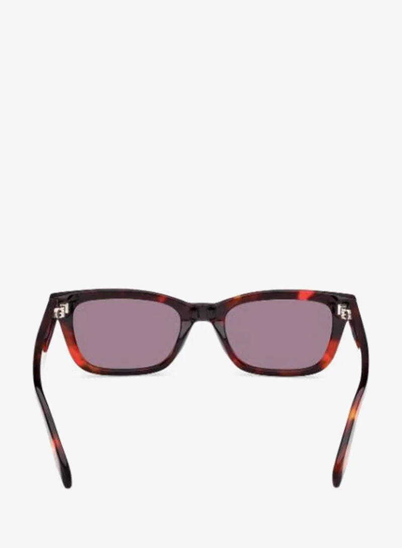 Adidas  Wayfarers Sunglasses  | Best Price UAE