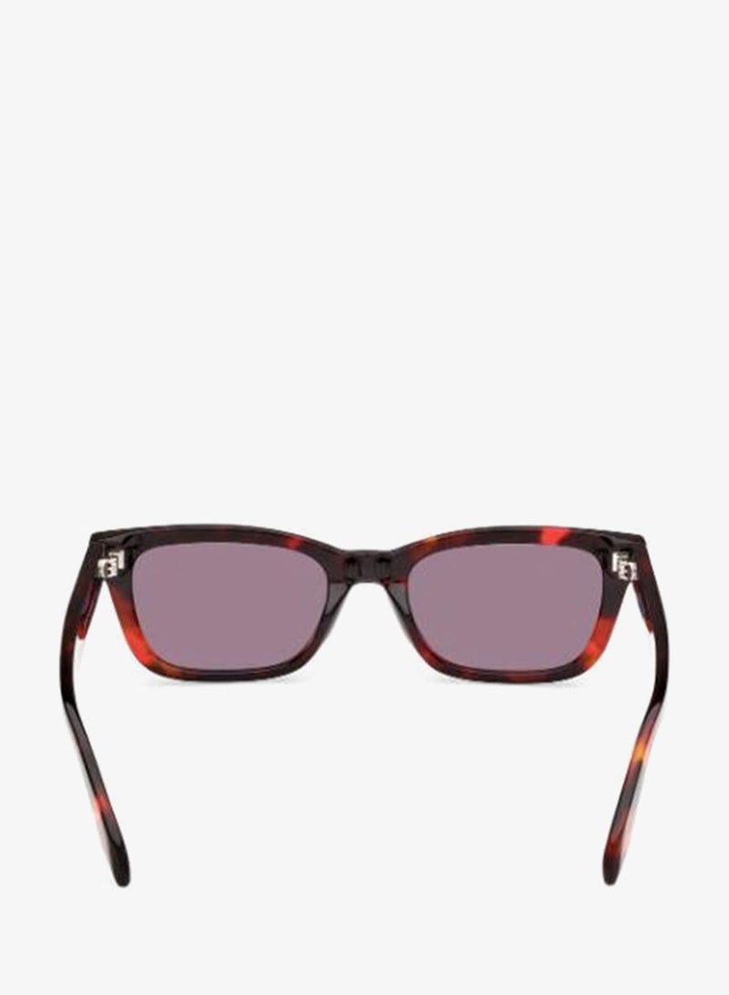 Adidas Wayfarers Sunglasses - Image 3