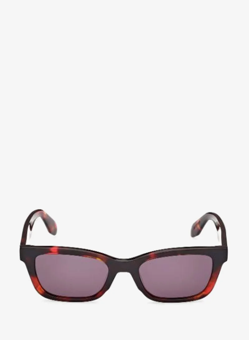 Adidas  Wayfarers Sunglasses  | Best Price UAE
