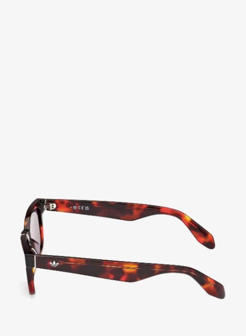 Adidas Wayfarers Sunglasses - Image 2