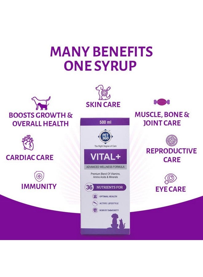 PET360 Vital+ Advanced Wellness Formula for Dogs & Cats | Multivitamin Syrup for Healthy Skin, Joints & Boosted Immunity | Nutritional Supplement with Vitamins & Minerals for Enhanced Growth - 500 ml - Image 5