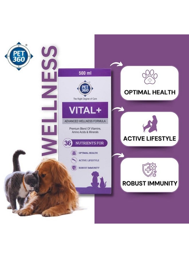 PET360 Vital+ Advanced Wellness Formula for Dogs & Cats | Multivitamin Syrup for Healthy Skin, Joints & Boosted Immunity | Nutritional Supplement with Vitamins & Minerals for Enhanced Growth - 500 ml - Image 4