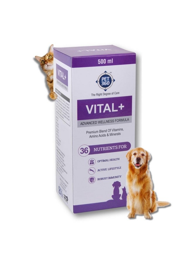 PET360 Vital+ Advanced Wellness Formula for Dogs & Cats | Multivitamin Syrup for Healthy Skin, Joints & Boosted Immunity | Nutritional Supplement with Vitamins & Minerals for Enhanced Growth - 500 ml - Image 1