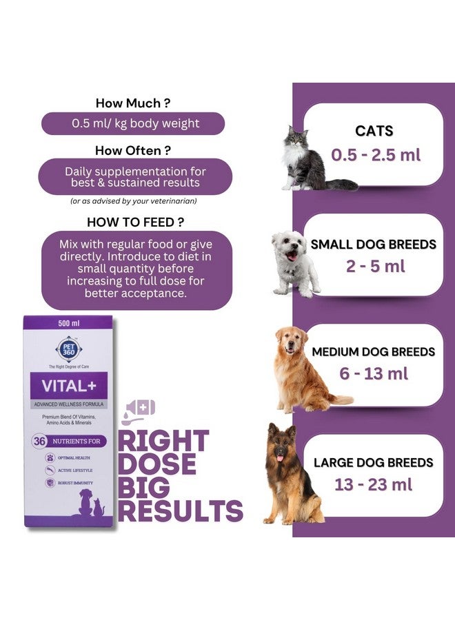 PET360 Vital+ Advanced Wellness Formula for Dogs & Cats | Multivitamin Syrup for Healthy Skin, Joints & Boosted Immunity | Nutritional Supplement with Vitamins & Minerals for Enhanced Growth - 500 ml - Image 3