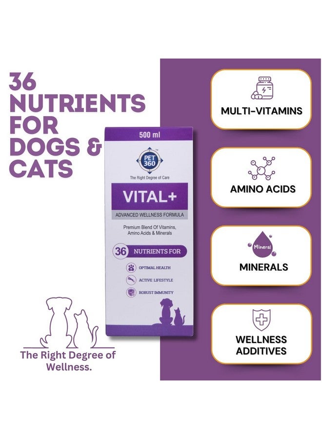 PET360 Vital+ Advanced Wellness Formula for Dogs & Cats | Multivitamin Syrup for Healthy Skin, Joints & Boosted Immunity | Nutritional Supplement with Vitamins & Minerals for Enhanced Growth - 500 ml - Image 2