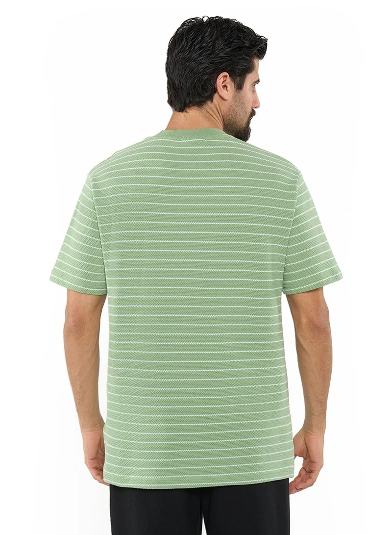 NAUTICA Pistachio Striped Regular Fit Premium Cotton Crew Neck T-shirt for Men | Best Price UAE