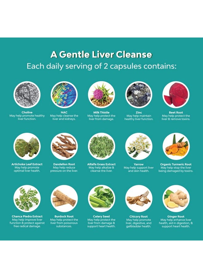 Liver Support Supplement With Nac Herbal Liver Supplement With N Acetyl Cysteine Silymarin Milk Thistle Extract Dandelion Root Artichoke Extract Choline Bitartrate And Berberine For Liver Cleanse