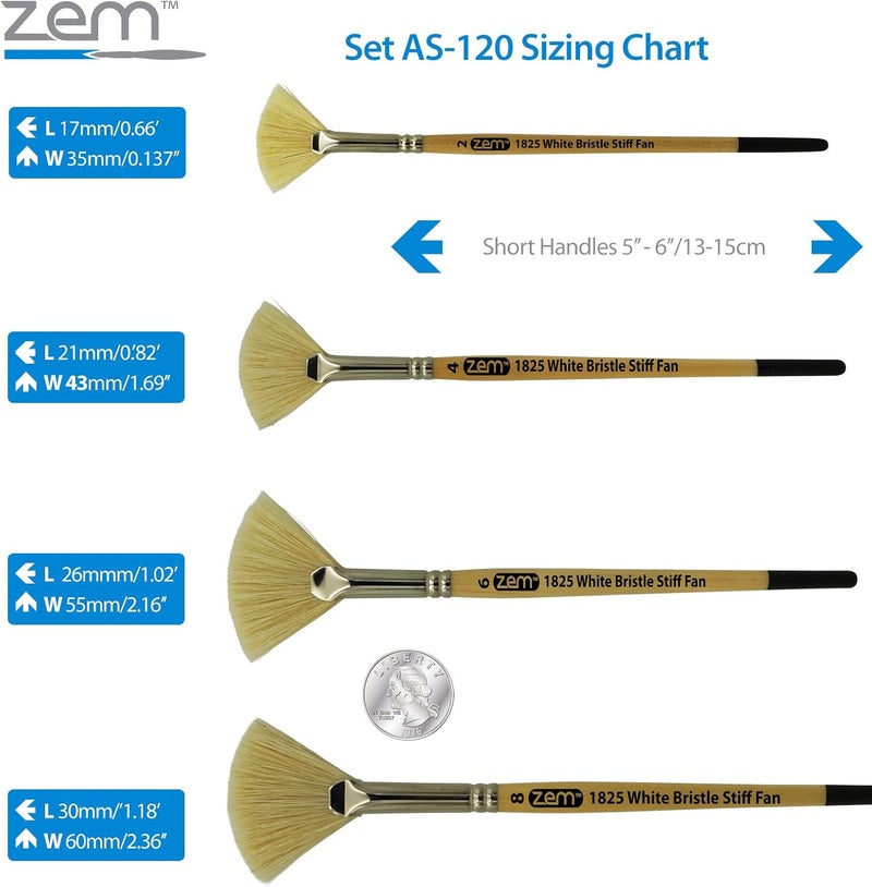 ZEM Brush White Hog Bristle Stiff Fan Brush Set Size 2,4,6,8 - Image 4
