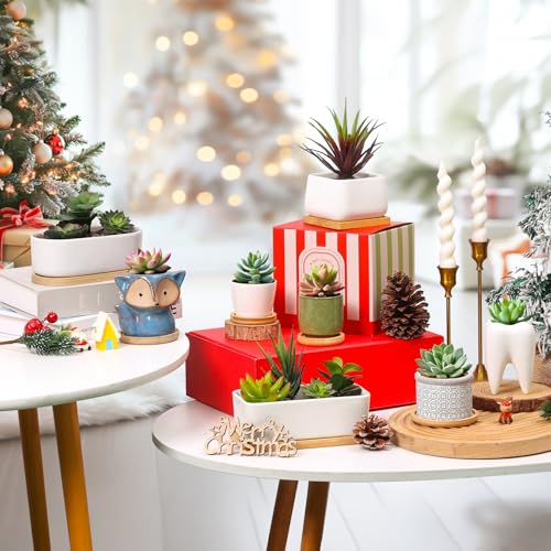 T4U 2.5 Inch Mini White Succulent Planter Pots with Bamboo Tray Round Set of 12, Tiny Ceramic Succulent Air Plant Flower Pots Cactus Faux Plants Containers, Gifts for Plant Lover, Home Office Decor - Image 4