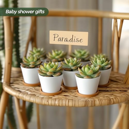 T4U 2.5 Inch Mini White Succulent Planter Pots with Bamboo Tray Round Set of 12, Tiny Ceramic Succulent Air Plant Flower Pots Cactus Faux Plants Containers, Gifts for Plant Lover, Home Office Decor - Image 5