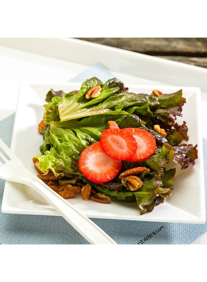 Restaurantware أطباق فوغو مربعة 6 بوصة، 4 أطباق سلطة متوسطة - غير قابلة للكسر تقريبًا، قابلة للغسل في غسالة الصحون، أطباق مطاعم من الميلامين الأبيض، للمقبلات أو الحلويات، للاستخدام الداخلي أو الخارجي - Image 3