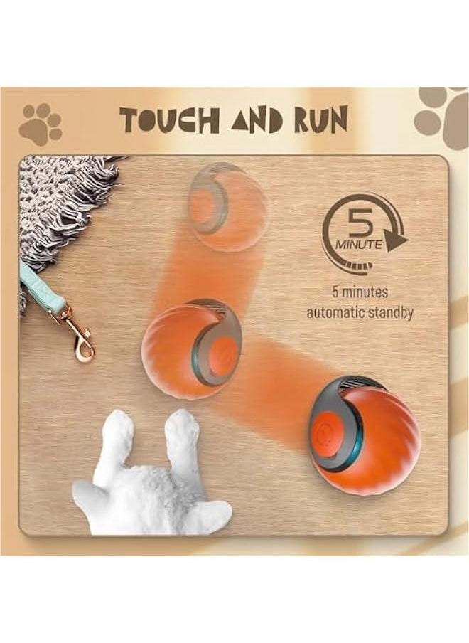Generic - Interactive Cat Ball Toy, 2024 Cat Rolling Ball Touch Motion Activated Rolling Ball with Type C Cord and Tail Interactive Cat Toy Balls for Indoor and Outdoor Cats Dogs Cat Toys (Blue, 1Pack) - Image 1