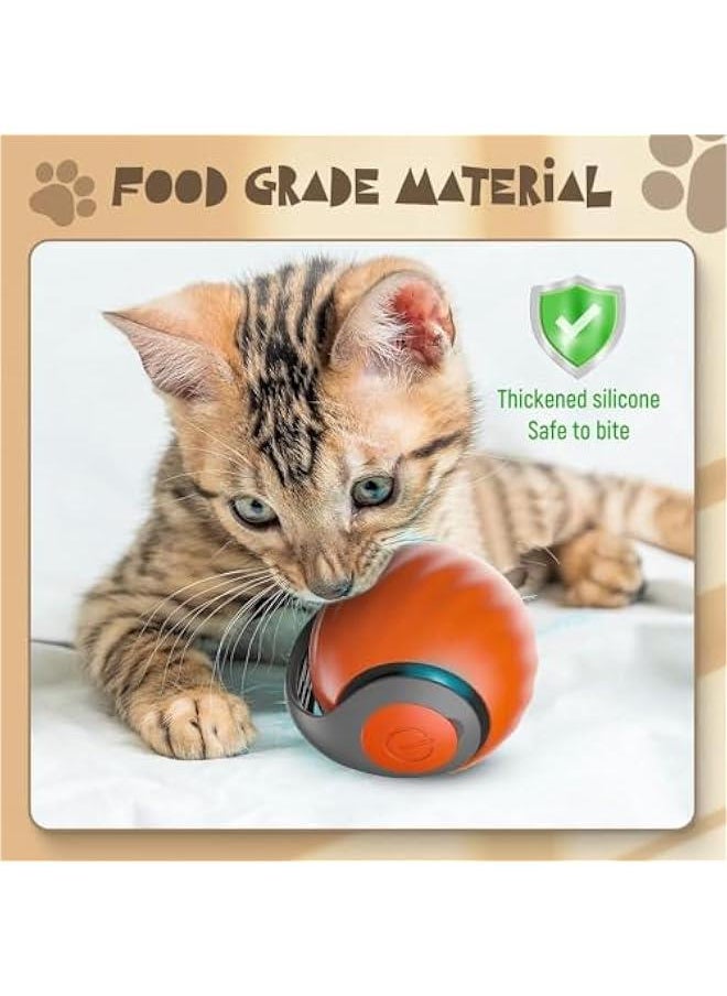 Generic - Interactive Cat Ball Toy, 2024 Cat Rolling Ball Touch Motion Activated Rolling Ball with Type C Cord and Tail Interactive Cat Toy Balls for Indoor and Outdoor Cats Dogs Cat Toys (Blue, 1Pack) - Image 1
