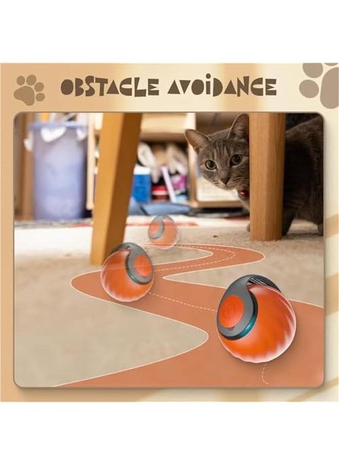 Generic - Interactive Cat Ball Toy, 2024 Cat Rolling Ball Touch Motion Activated Rolling Ball with Type C Cord and Tail Interactive Cat Toy Balls for Indoor and Outdoor Cats Dogs Cat Toys (Blue, 1Pack) - Image 1