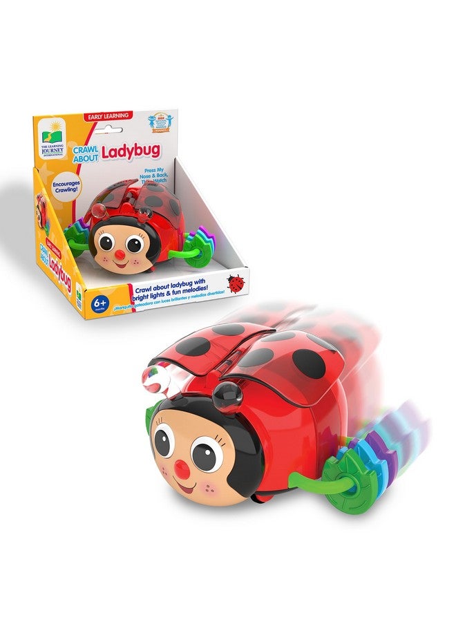 The Learning Journey Early Learning - Crawl About Ladybug Musical Crawling Aid - Baby Toys & Gifts for Boys & Girls Ages 6+ Months - Image 1