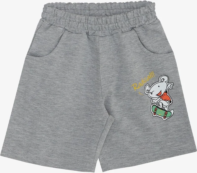 Breeze Boy Shorts Set Skateboard Mouse & Cute Crocodile Printed 2-6 Years, Pistachio Green