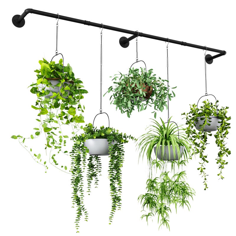 Bamworld Plant Hanger Indoor 70in Hanging Planters Rod Hanging Plant Holder for Window Plant Shelves Metal RodPots Not Included