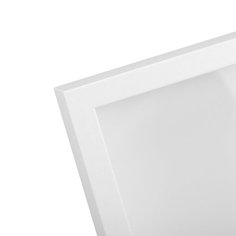 Display Frame Case, Handcrafted for DIY Insect Specimen, Elevates Home Decor - Image 3
